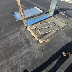 roof inspection new tampa